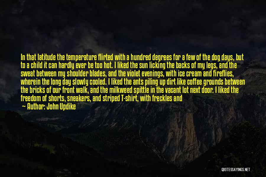 John Updike Quotes: In That Latitude The Temperature Flirted With A Hundred Degrees For A Few Of The Dog Days, But To A