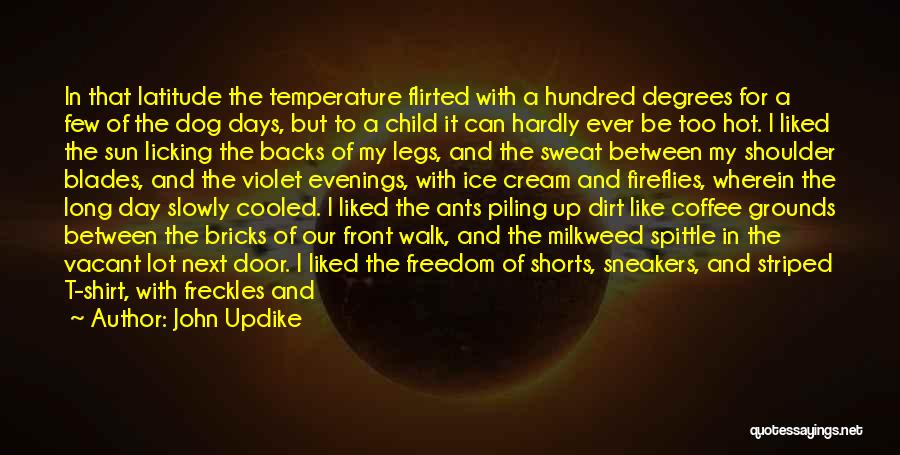 John Updike Quotes: In That Latitude The Temperature Flirted With A Hundred Degrees For A Few Of The Dog Days, But To A