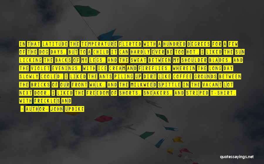 John Updike Quotes: In That Latitude The Temperature Flirted With A Hundred Degrees For A Few Of The Dog Days, But To A