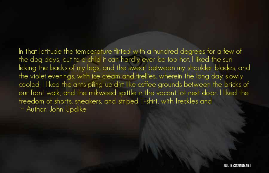 John Updike Quotes: In That Latitude The Temperature Flirted With A Hundred Degrees For A Few Of The Dog Days, But To A