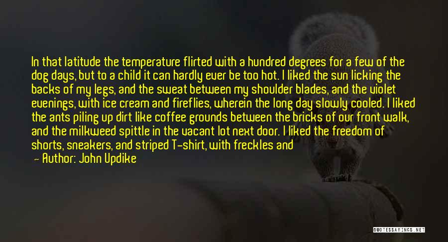 John Updike Quotes: In That Latitude The Temperature Flirted With A Hundred Degrees For A Few Of The Dog Days, But To A