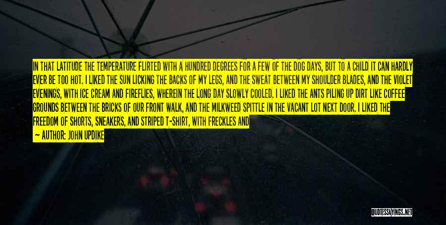 John Updike Quotes: In That Latitude The Temperature Flirted With A Hundred Degrees For A Few Of The Dog Days, But To A