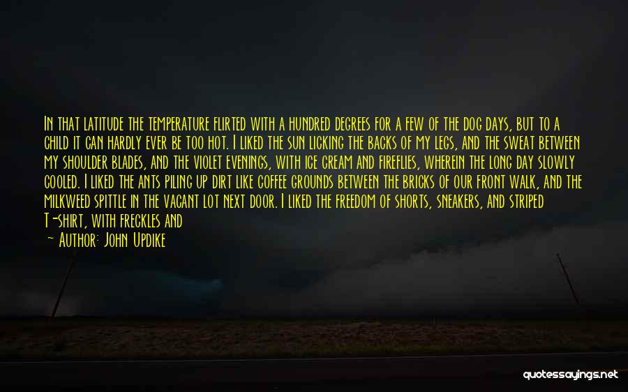 John Updike Quotes: In That Latitude The Temperature Flirted With A Hundred Degrees For A Few Of The Dog Days, But To A