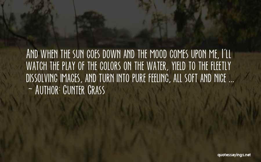 Gunter Grass Quotes: And When The Sun Goes Down And The Mood Comes Upon Me, I'll Watch The Play Of The Colors On
