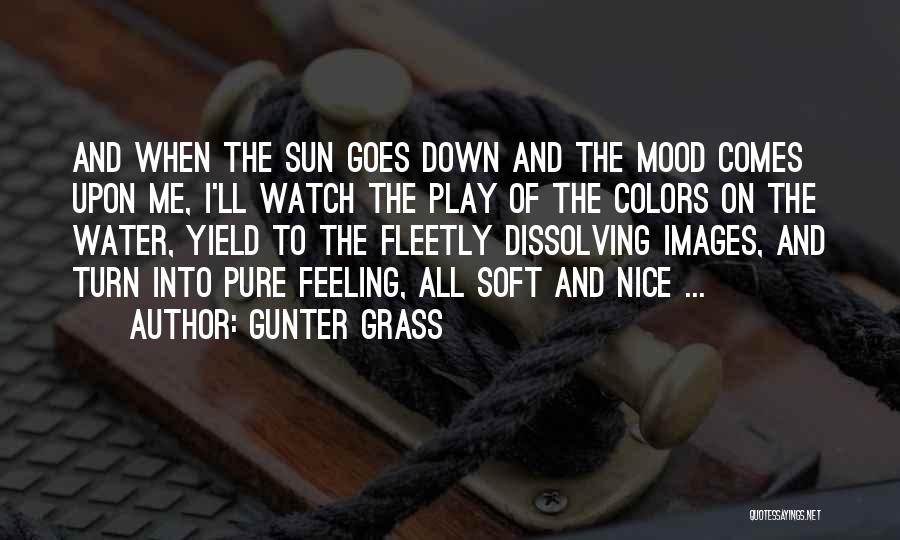Gunter Grass Quotes: And When The Sun Goes Down And The Mood Comes Upon Me, I'll Watch The Play Of The Colors On