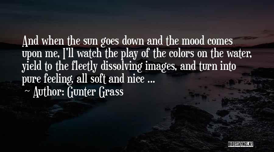 Gunter Grass Quotes: And When The Sun Goes Down And The Mood Comes Upon Me, I'll Watch The Play Of The Colors On