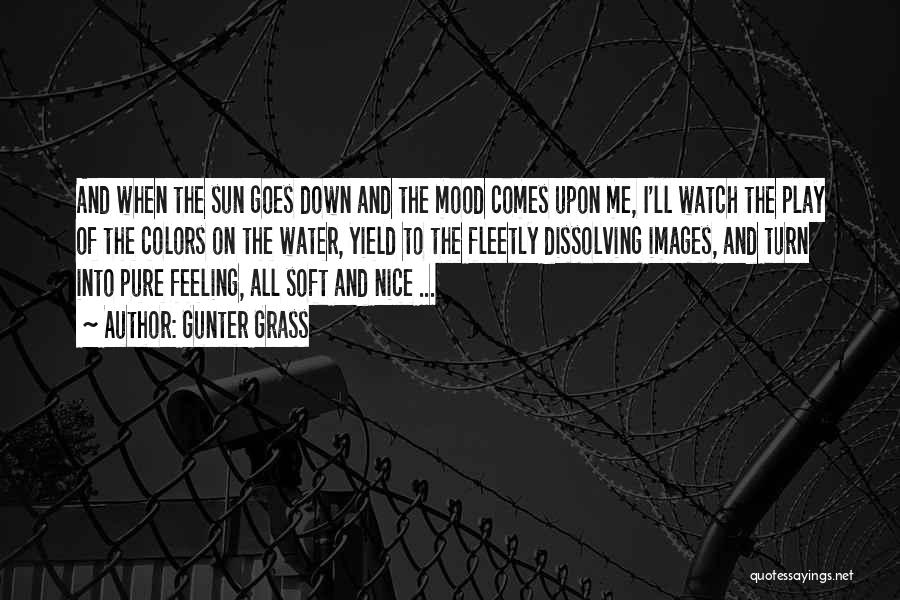 Gunter Grass Quotes: And When The Sun Goes Down And The Mood Comes Upon Me, I'll Watch The Play Of The Colors On
