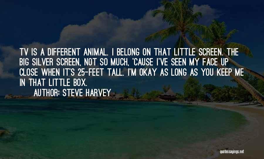 Steve Harvey Quotes: Tv Is A Different Animal. I Belong On That Little Screen. The Big Silver Screen, Not So Much, 'cause I've