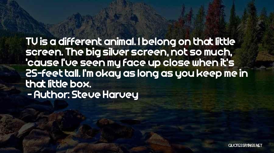 Steve Harvey Quotes: Tv Is A Different Animal. I Belong On That Little Screen. The Big Silver Screen, Not So Much, 'cause I've