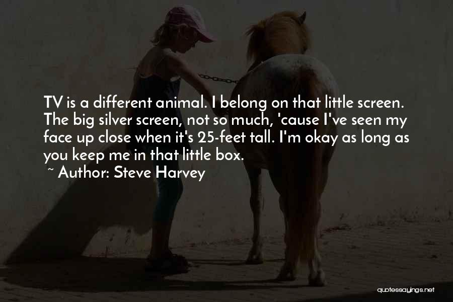 Steve Harvey Quotes: Tv Is A Different Animal. I Belong On That Little Screen. The Big Silver Screen, Not So Much, 'cause I've