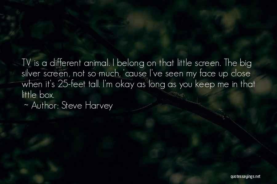 Steve Harvey Quotes: Tv Is A Different Animal. I Belong On That Little Screen. The Big Silver Screen, Not So Much, 'cause I've