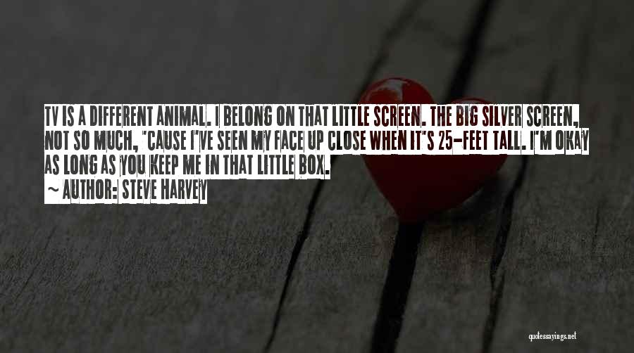 Steve Harvey Quotes: Tv Is A Different Animal. I Belong On That Little Screen. The Big Silver Screen, Not So Much, 'cause I've