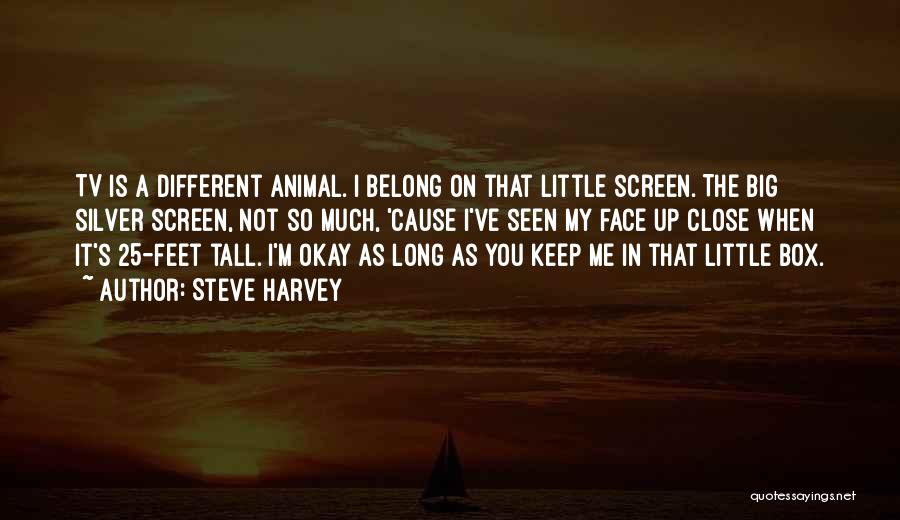 Steve Harvey Quotes: Tv Is A Different Animal. I Belong On That Little Screen. The Big Silver Screen, Not So Much, 'cause I've
