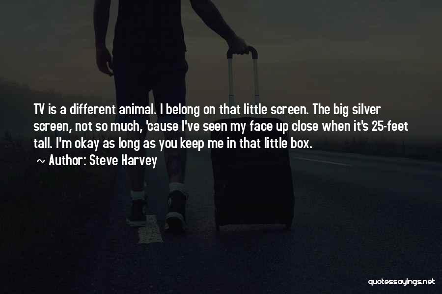 Steve Harvey Quotes: Tv Is A Different Animal. I Belong On That Little Screen. The Big Silver Screen, Not So Much, 'cause I've