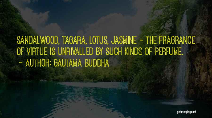 Gautama Buddha Quotes: Sandalwood, Tagara, Lotus, Jasmine - The Fragrance Of Virtue Is Unrivalled By Such Kinds Of Perfume.