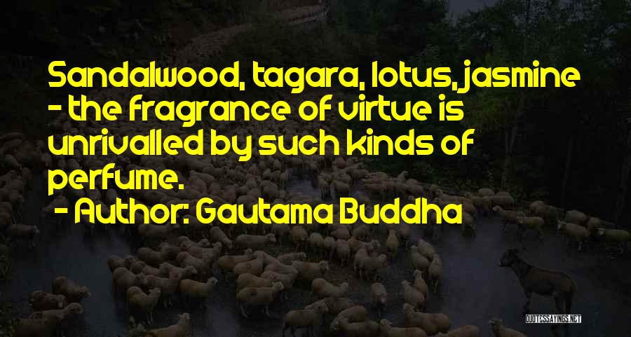 Gautama Buddha Quotes: Sandalwood, Tagara, Lotus, Jasmine - The Fragrance Of Virtue Is Unrivalled By Such Kinds Of Perfume.