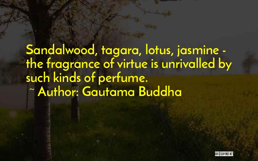 Gautama Buddha Quotes: Sandalwood, Tagara, Lotus, Jasmine - The Fragrance Of Virtue Is Unrivalled By Such Kinds Of Perfume.