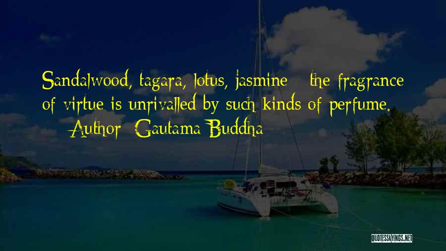 Gautama Buddha Quotes: Sandalwood, Tagara, Lotus, Jasmine - The Fragrance Of Virtue Is Unrivalled By Such Kinds Of Perfume.