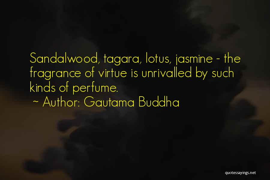 Gautama Buddha Quotes: Sandalwood, Tagara, Lotus, Jasmine - The Fragrance Of Virtue Is Unrivalled By Such Kinds Of Perfume.