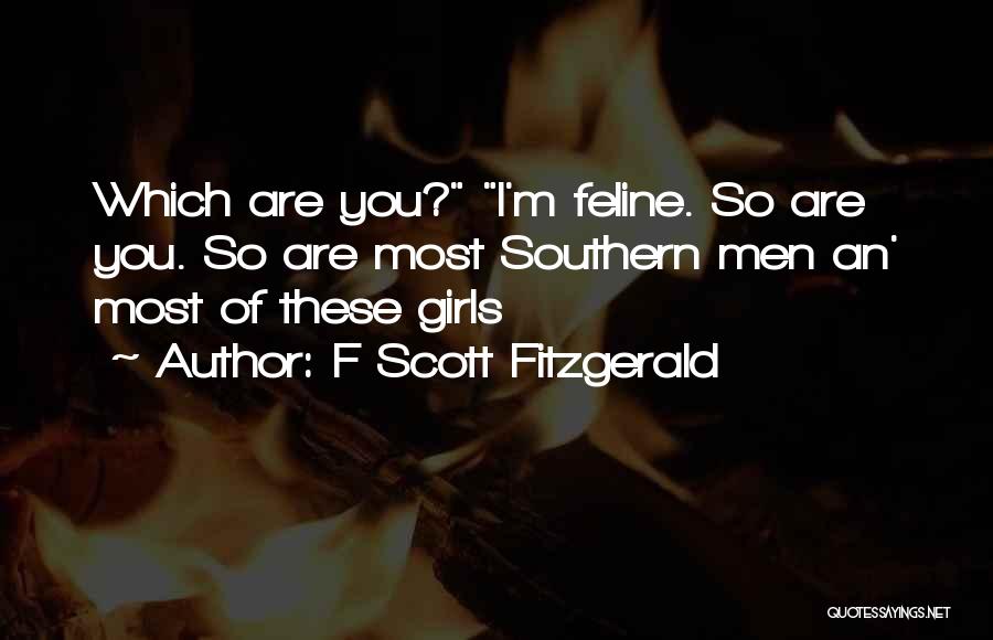 F Scott Fitzgerald Quotes: Which Are You? I'm Feline. So Are You. So Are Most Southern Men An' Most Of These Girls