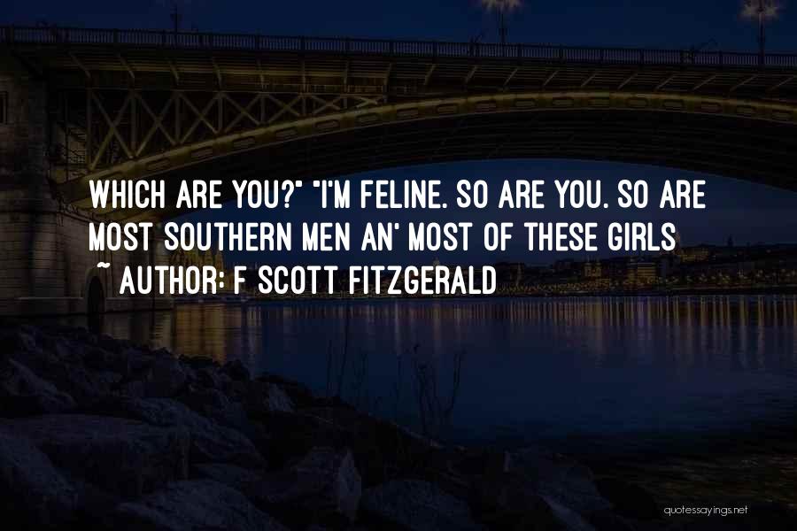 F Scott Fitzgerald Quotes: Which Are You? I'm Feline. So Are You. So Are Most Southern Men An' Most Of These Girls