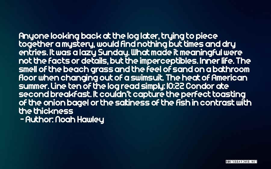 Noah Hawley Quotes: Anyone Looking Back At The Log Later, Trying To Piece Together A Mystery, Would Find Nothing But Times And Dry