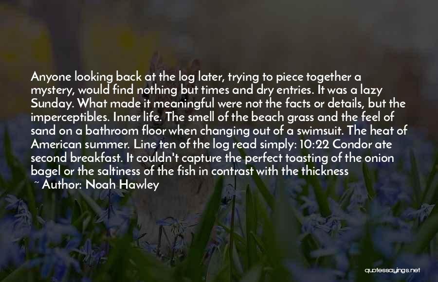 Noah Hawley Quotes: Anyone Looking Back At The Log Later, Trying To Piece Together A Mystery, Would Find Nothing But Times And Dry