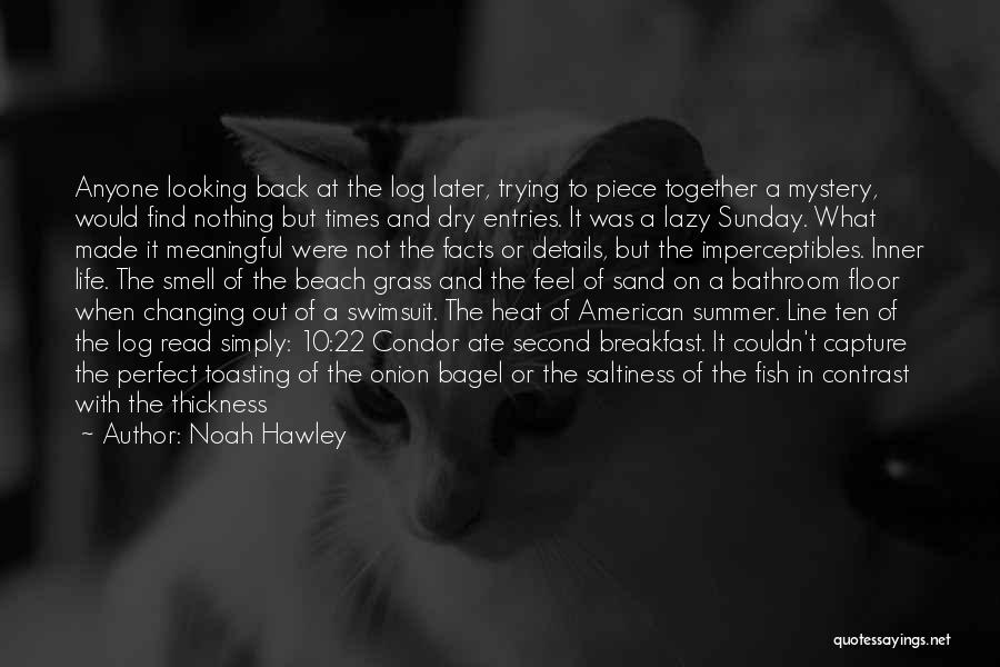 Noah Hawley Quotes: Anyone Looking Back At The Log Later, Trying To Piece Together A Mystery, Would Find Nothing But Times And Dry