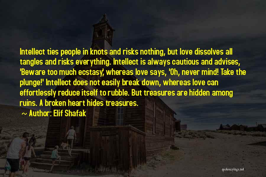 Elif Shafak Quotes: Intellect Ties People In Knots And Risks Nothing, But Love Dissolves All Tangles And Risks Everything. Intellect Is Always Cautious