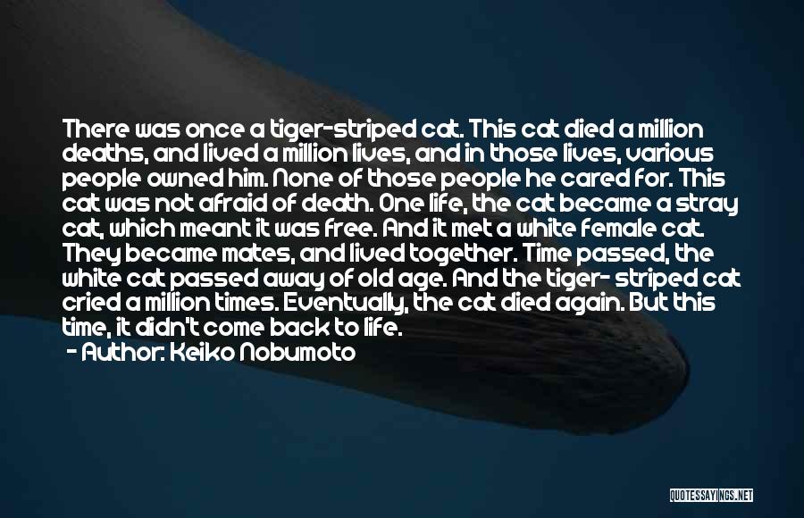 Keiko Nobumoto Quotes: There Was Once A Tiger-striped Cat. This Cat Died A Million Deaths, And Lived A Million Lives, And In Those