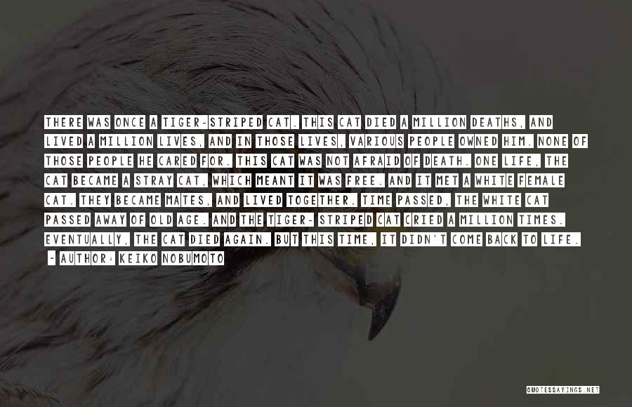 Keiko Nobumoto Quotes: There Was Once A Tiger-striped Cat. This Cat Died A Million Deaths, And Lived A Million Lives, And In Those