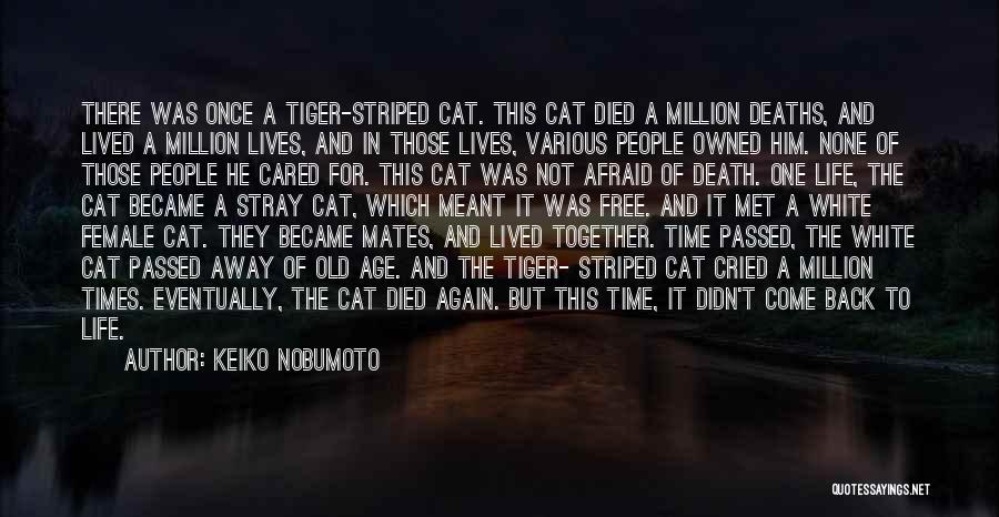 Keiko Nobumoto Quotes: There Was Once A Tiger-striped Cat. This Cat Died A Million Deaths, And Lived A Million Lives, And In Those
