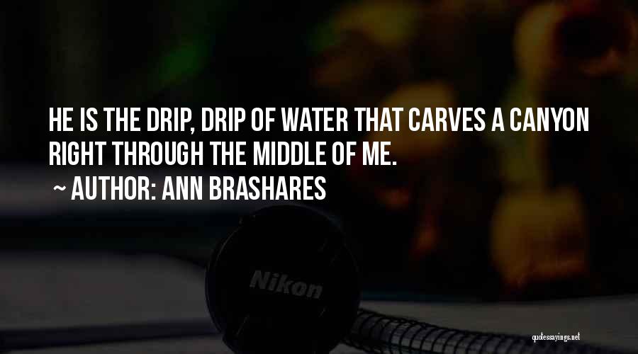 Ann Brashares Quotes: He Is The Drip, Drip Of Water That Carves A Canyon Right Through The Middle Of Me.