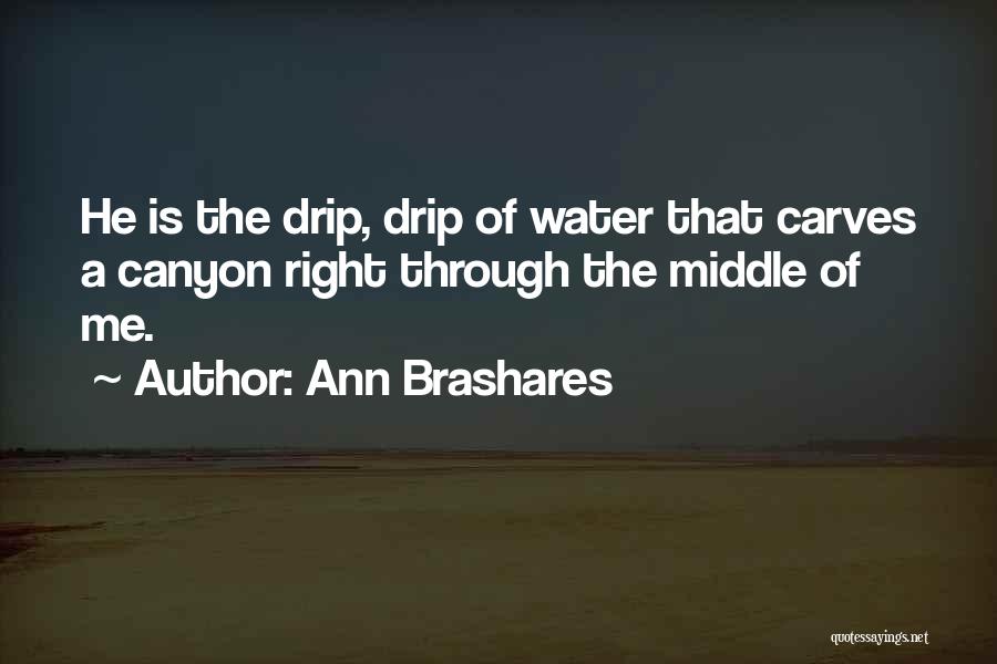Ann Brashares Quotes: He Is The Drip, Drip Of Water That Carves A Canyon Right Through The Middle Of Me.