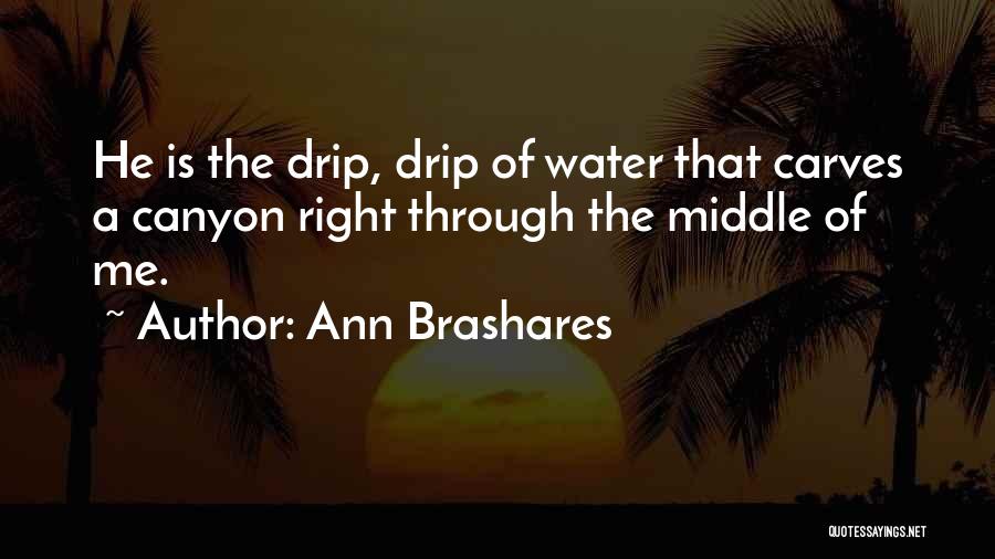 Ann Brashares Quotes: He Is The Drip, Drip Of Water That Carves A Canyon Right Through The Middle Of Me.