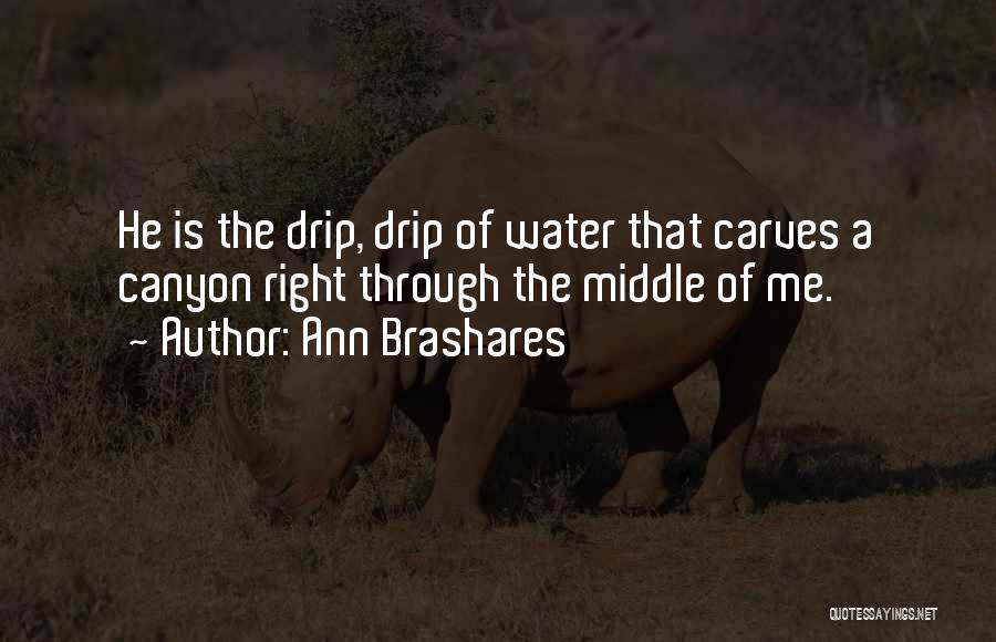 Ann Brashares Quotes: He Is The Drip, Drip Of Water That Carves A Canyon Right Through The Middle Of Me.