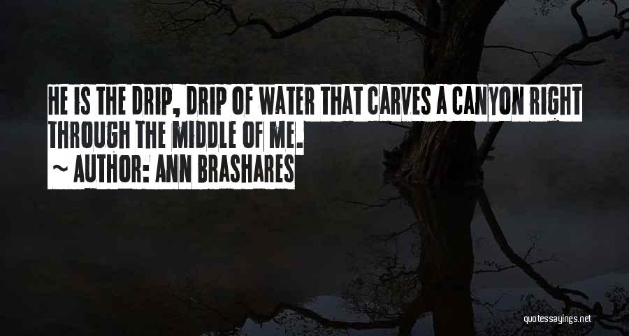Ann Brashares Quotes: He Is The Drip, Drip Of Water That Carves A Canyon Right Through The Middle Of Me.