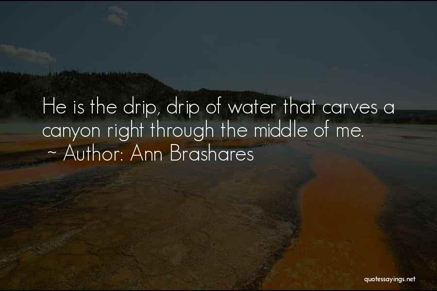 Ann Brashares Quotes: He Is The Drip, Drip Of Water That Carves A Canyon Right Through The Middle Of Me.