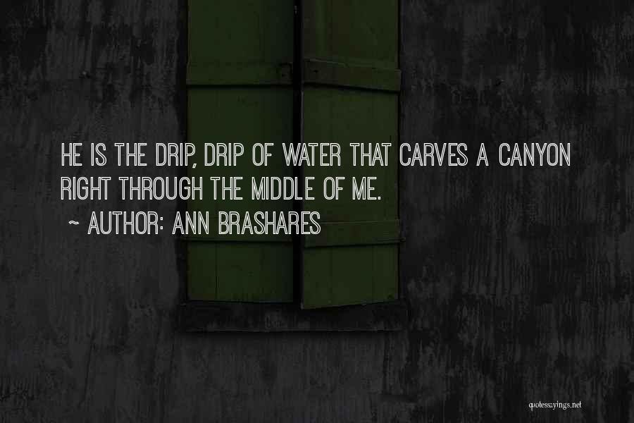 Ann Brashares Quotes: He Is The Drip, Drip Of Water That Carves A Canyon Right Through The Middle Of Me.