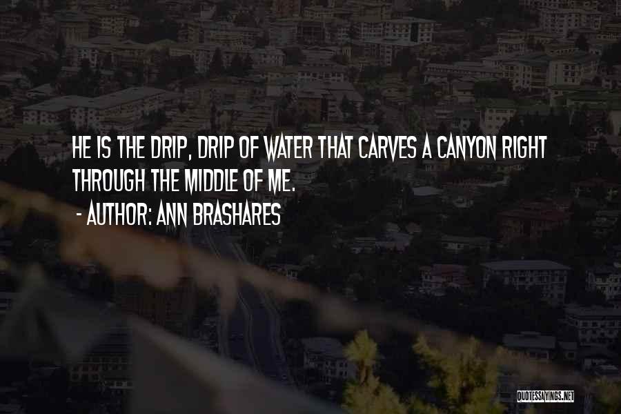 Ann Brashares Quotes: He Is The Drip, Drip Of Water That Carves A Canyon Right Through The Middle Of Me.