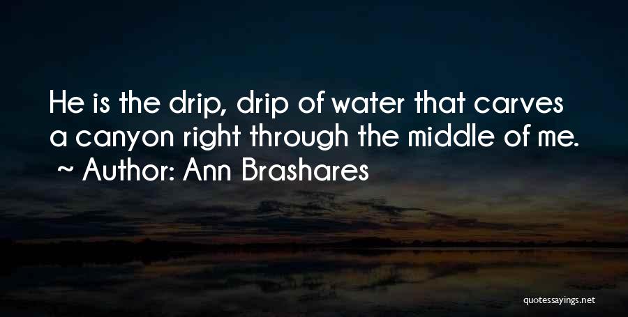 Ann Brashares Quotes: He Is The Drip, Drip Of Water That Carves A Canyon Right Through The Middle Of Me.