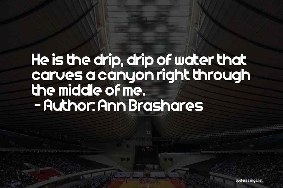 Ann Brashares Quotes: He Is The Drip, Drip Of Water That Carves A Canyon Right Through The Middle Of Me.