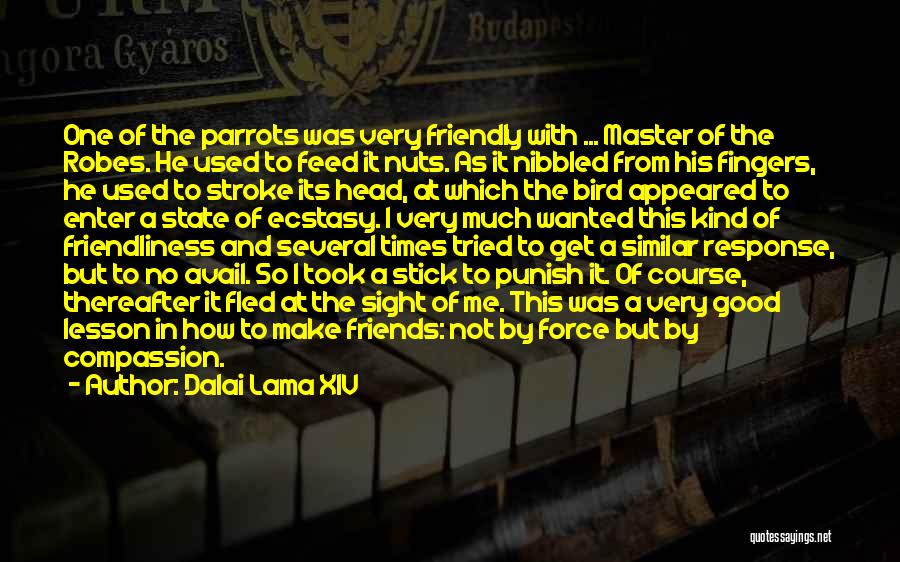 Dalai Lama XIV Quotes: One Of The Parrots Was Very Friendly With ... Master Of The Robes. He Used To Feed It Nuts. As