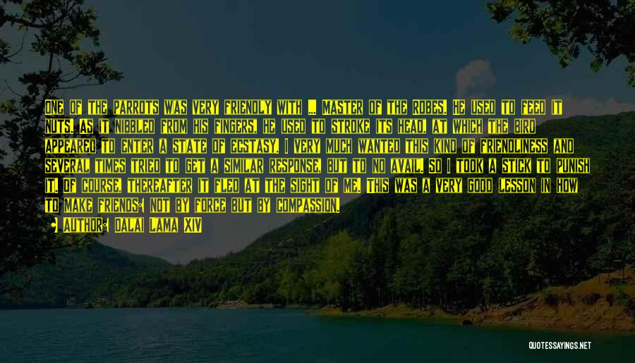 Dalai Lama XIV Quotes: One Of The Parrots Was Very Friendly With ... Master Of The Robes. He Used To Feed It Nuts. As