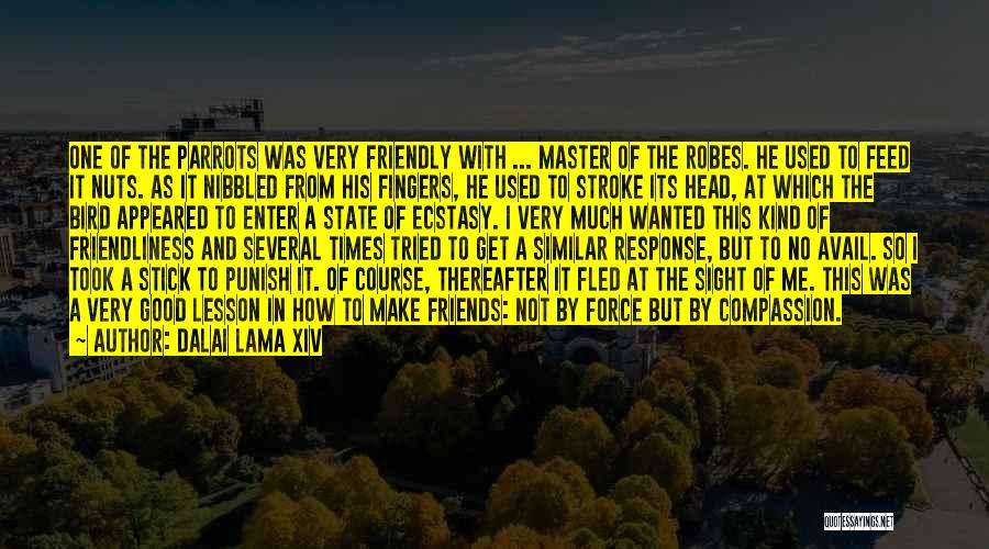 Dalai Lama XIV Quotes: One Of The Parrots Was Very Friendly With ... Master Of The Robes. He Used To Feed It Nuts. As