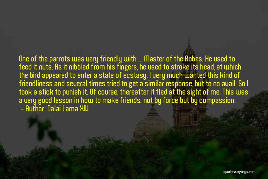 Dalai Lama XIV Quotes: One Of The Parrots Was Very Friendly With ... Master Of The Robes. He Used To Feed It Nuts. As