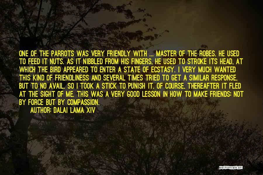 Dalai Lama XIV Quotes: One Of The Parrots Was Very Friendly With ... Master Of The Robes. He Used To Feed It Nuts. As