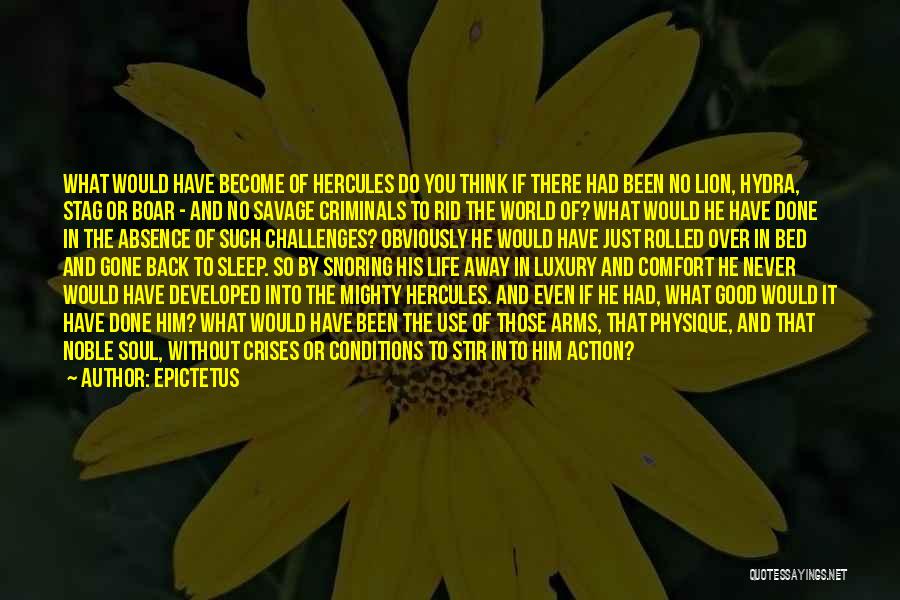 Epictetus Quotes: What Would Have Become Of Hercules Do You Think If There Had Been No Lion, Hydra, Stag Or Boar -