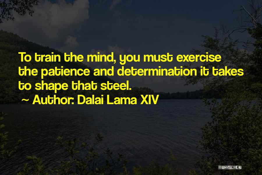 Dalai Lama XIV Quotes: To Train The Mind, You Must Exercise The Patience And Determination It Takes To Shape That Steel.