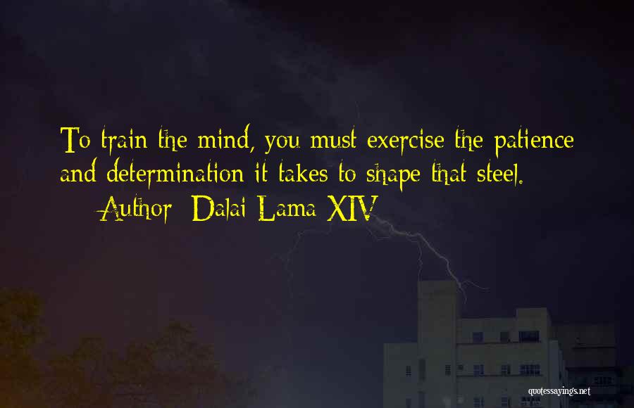 Dalai Lama XIV Quotes: To Train The Mind, You Must Exercise The Patience And Determination It Takes To Shape That Steel.